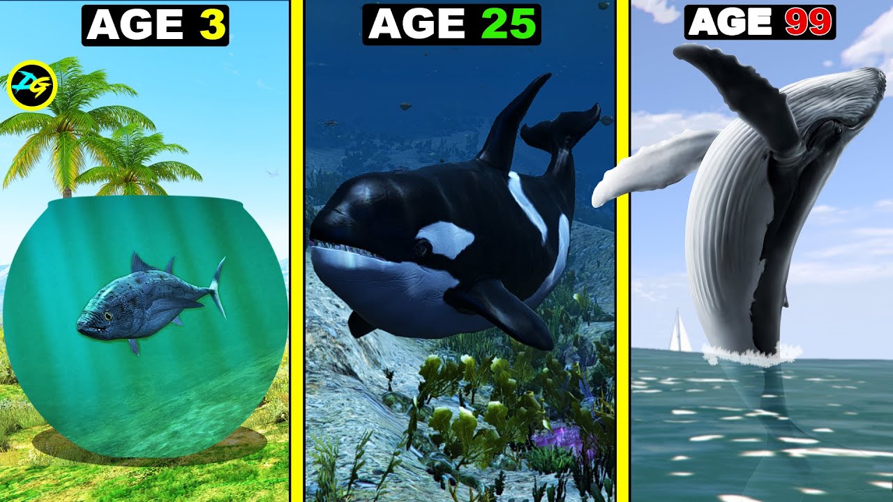 Fish Transformation Journey: Survival Lessons & Symbolic Insights