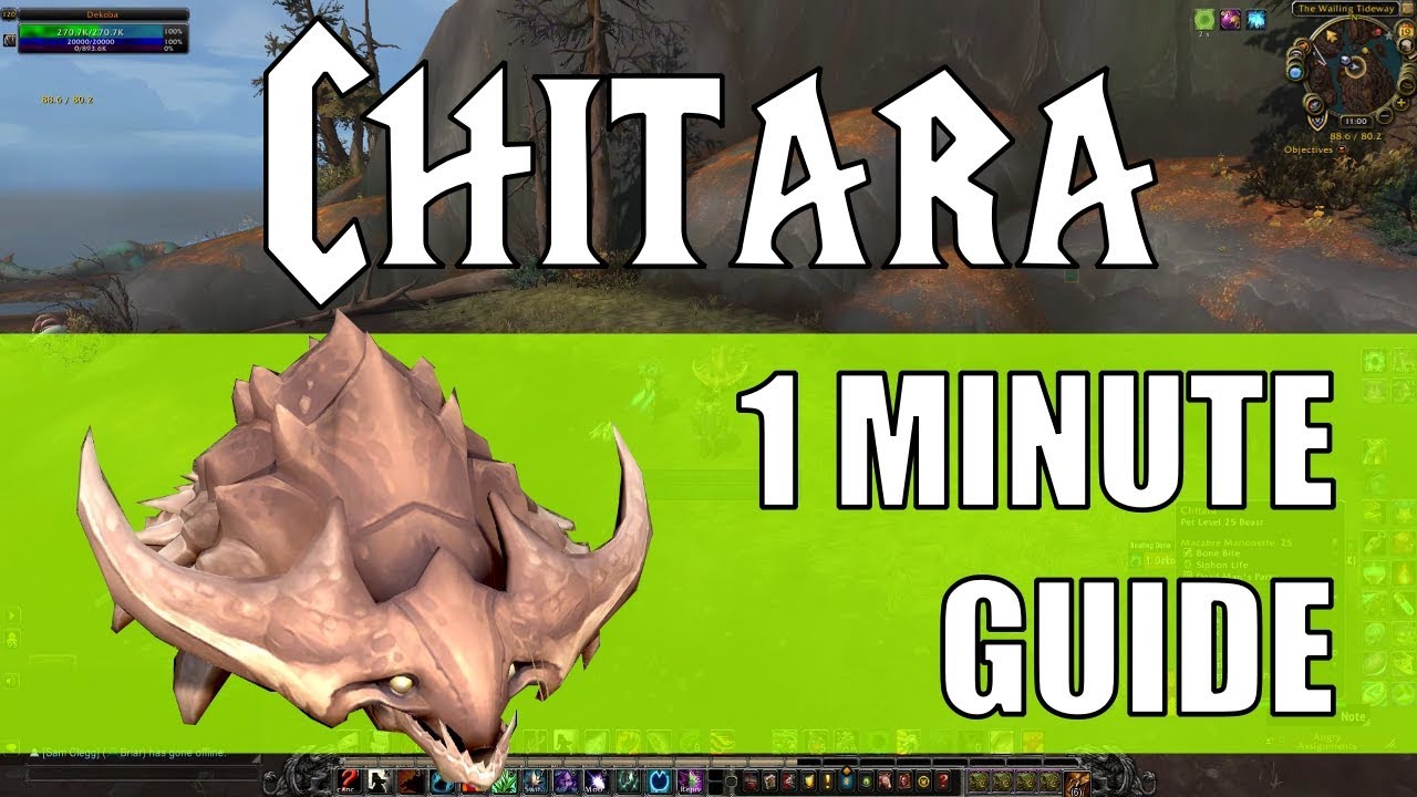 Defeat WoW's Shotaro Pet Battle in 60 Seconds