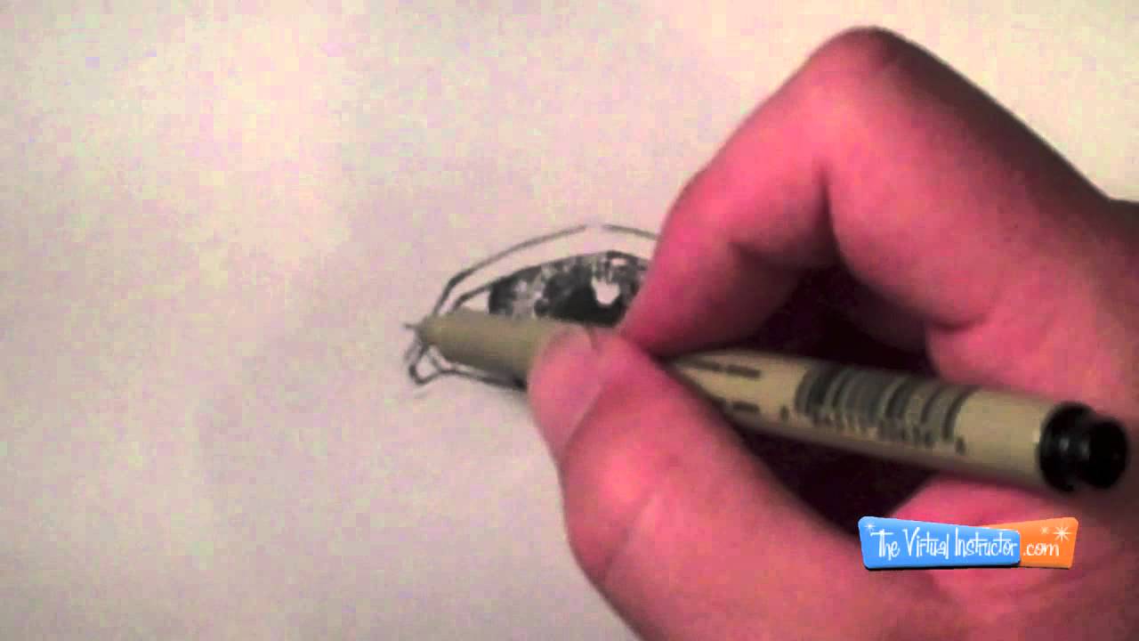 Master Pen and Ink Eye Drawing: Cross-Hatching Techniques