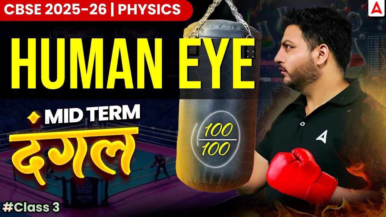 Human Eye Defects & Solutions: Class 10 NCERT Master Guide