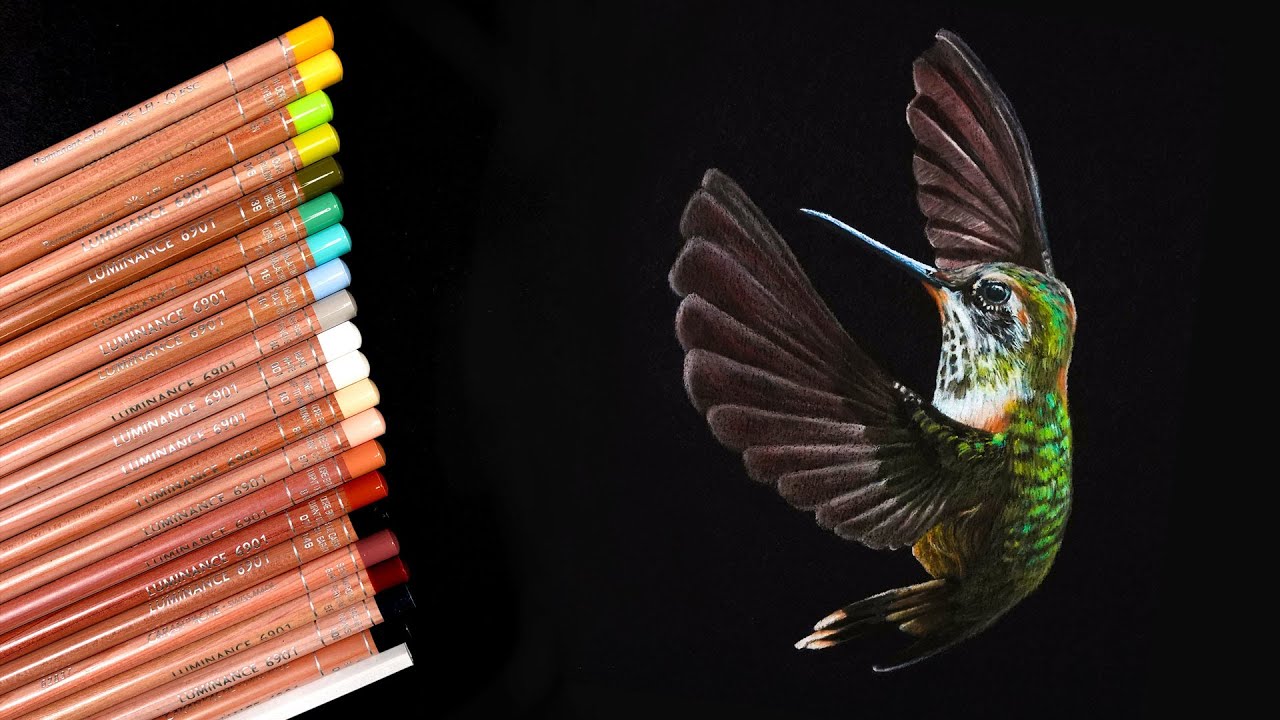 Master Hummingbird Drawing on Black Paper with Colored Pencils