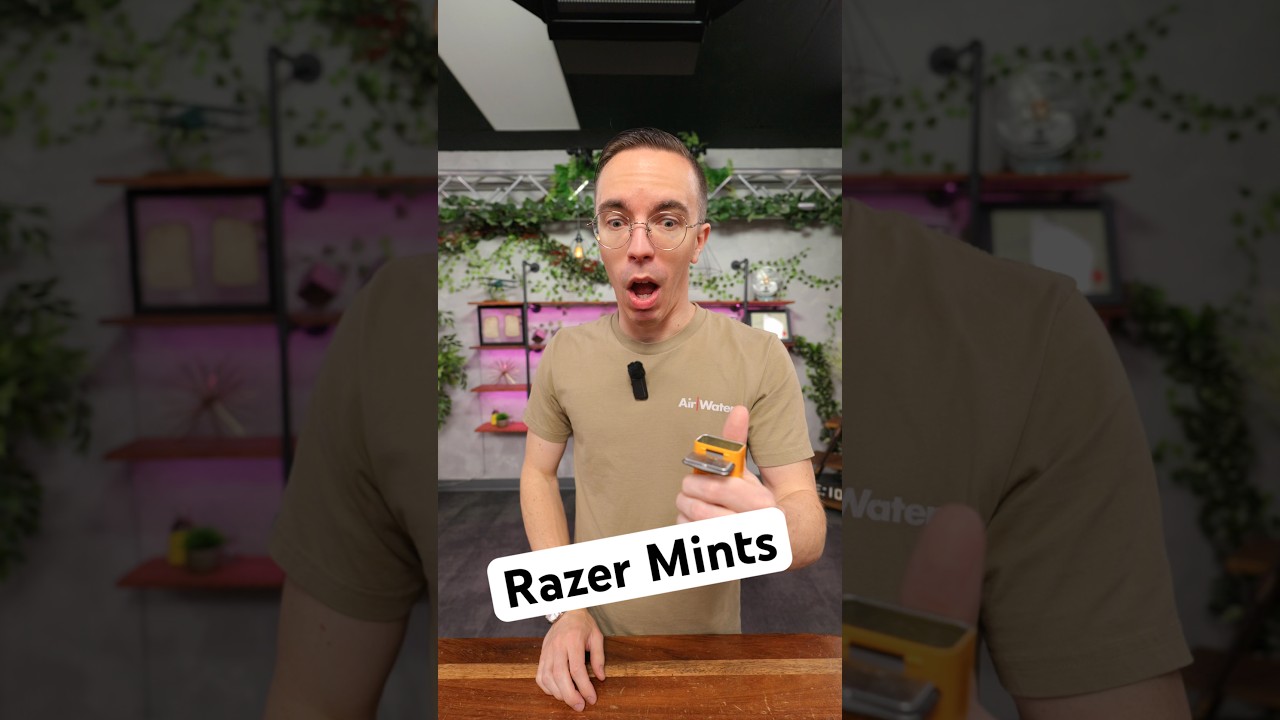 Razer Zesty Mints Review: Gaming Gear or Energy Boost?