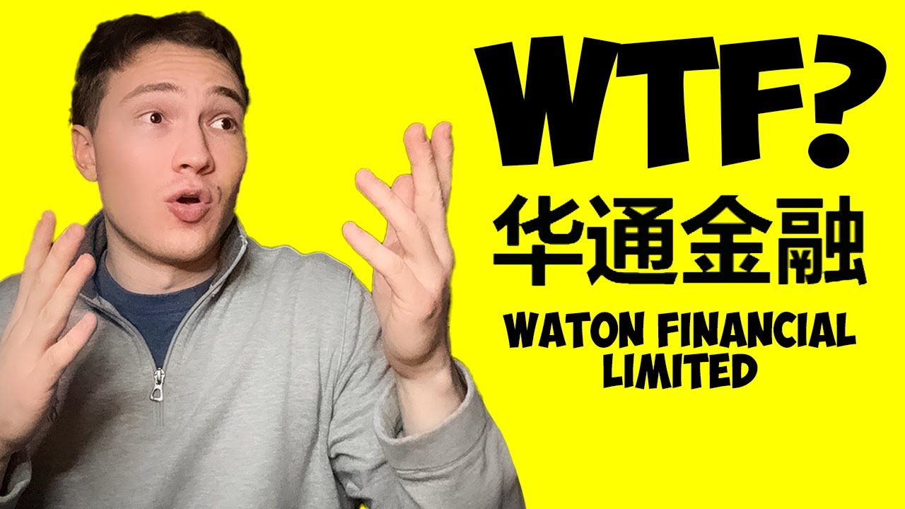 WTF Stock Analysis: AI Finance Innovator or Meme Risk?