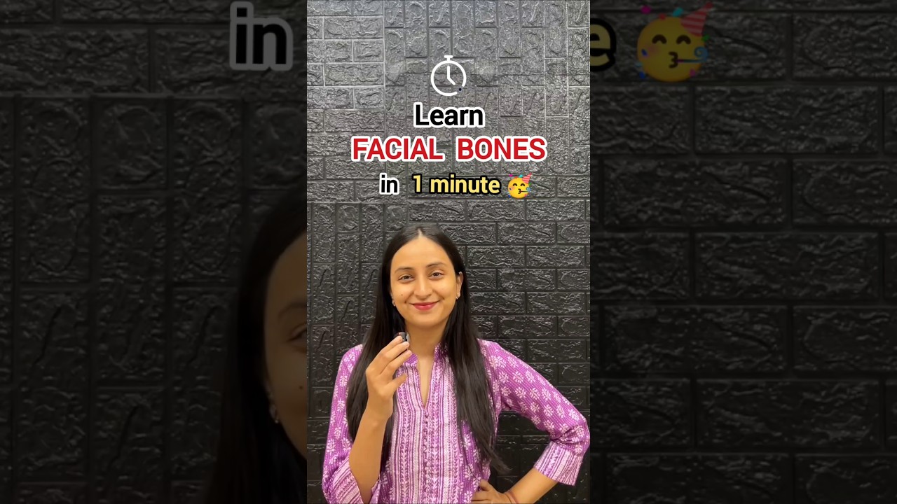 Master the 14 Facial Bones Fast: A Proven Memory Technique