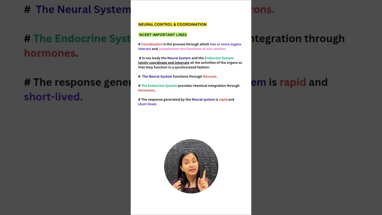 Neural vs Endocrine Systems: NCERT Coordination Explained