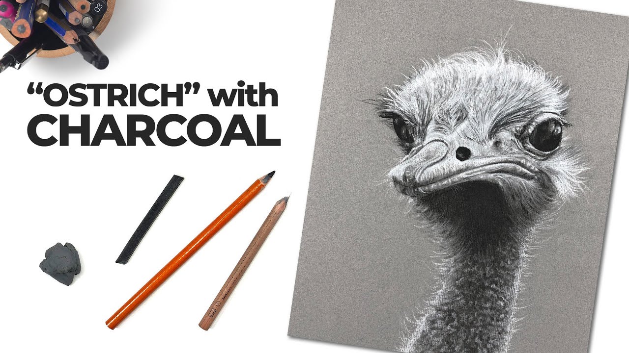 Mastering Charcoal Drawing on Toned Paper: Techniques & Tips