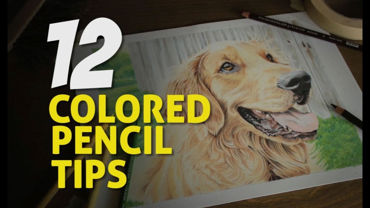 12 Expert Colored Pencil Tips for Professional Artwork
