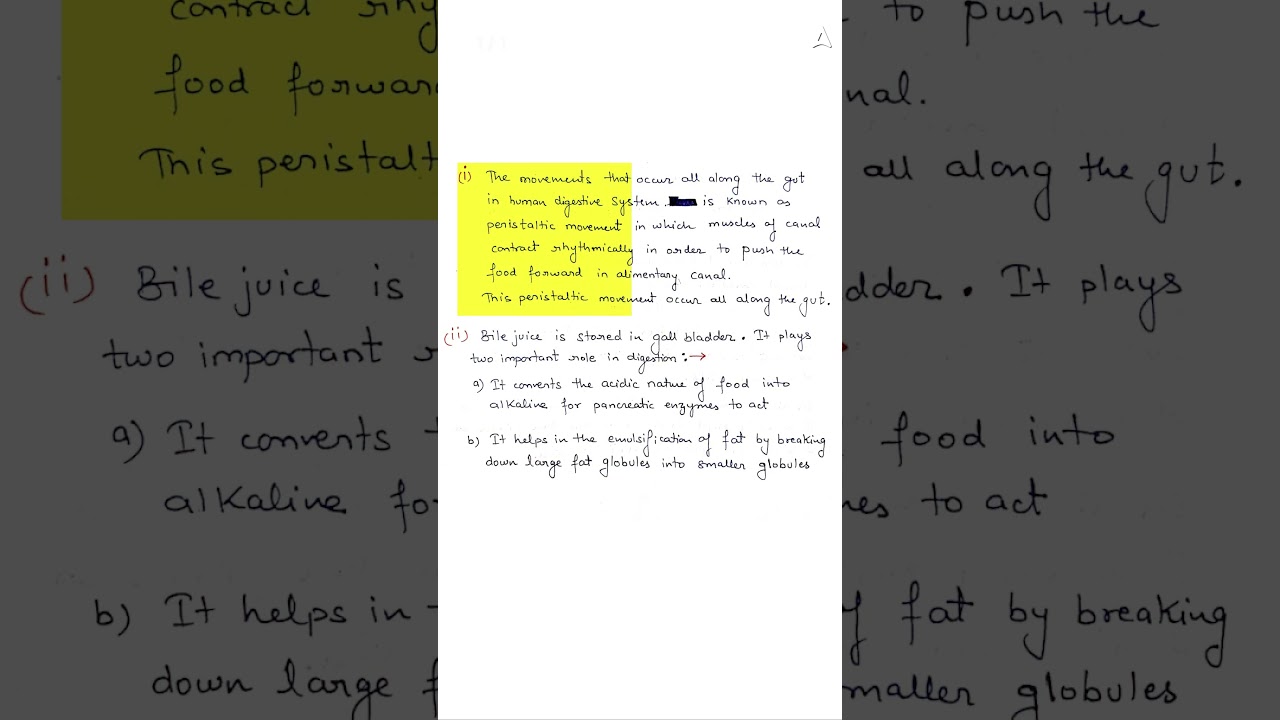 Understanding Digestive System Functions: Peristalsis and Bile Explained