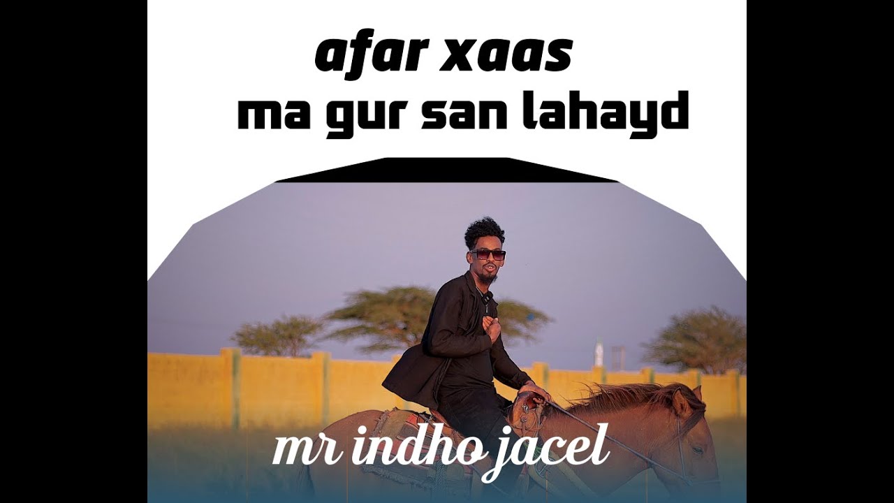 Content Unavailable: Transcript Analysis Report