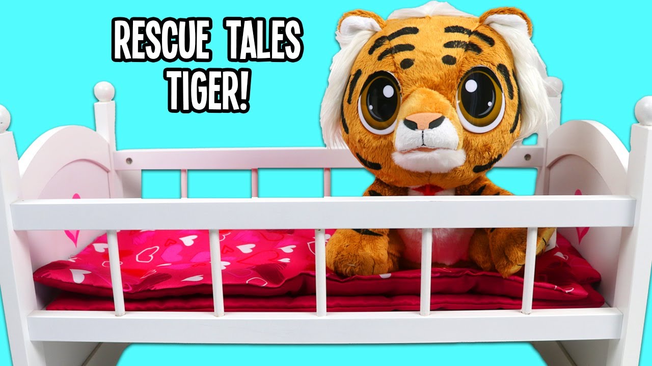 Baby Tiger Care Guide: Rescue Tips & Wildlife Education Activities
