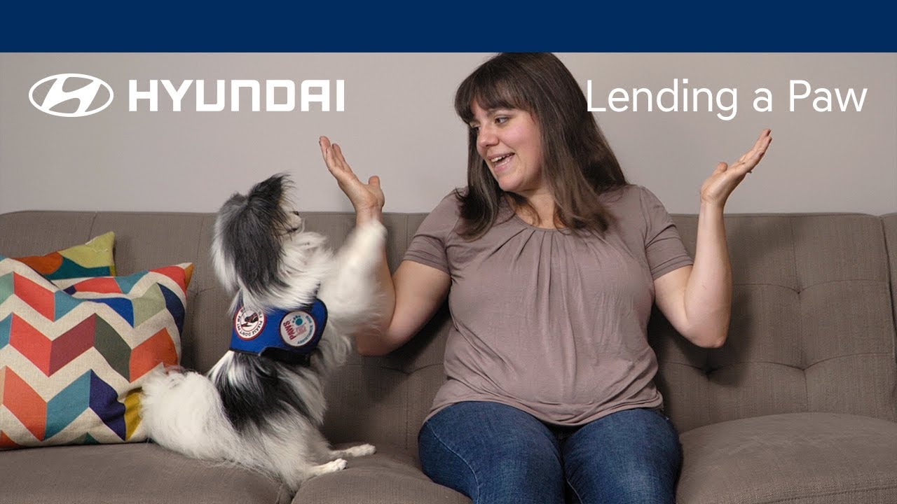 title：How Service Dogs Change Lives: Real Stories From Molly & Her Hearing Dog