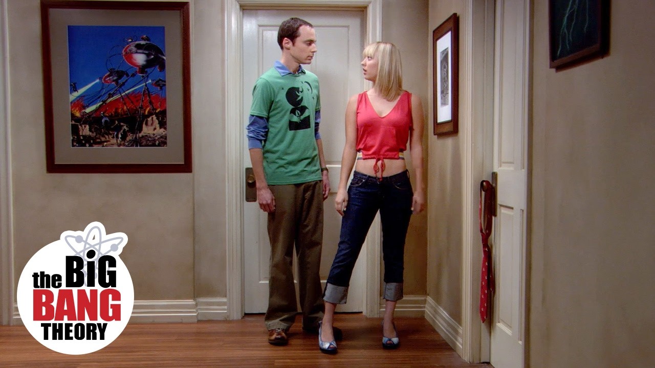 Big Bang Theory Tie on Door Meaning Scene Explained