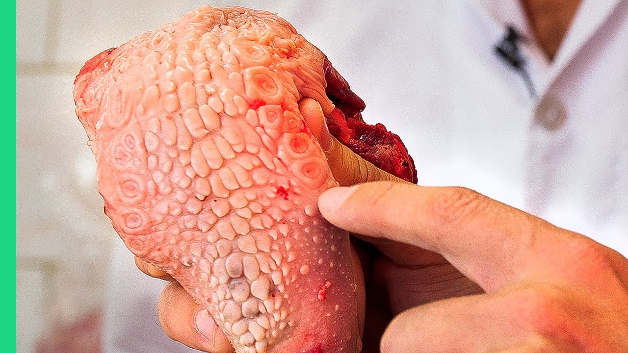 Camel Meat in Iran: Health Benefits & Traditional Dishes