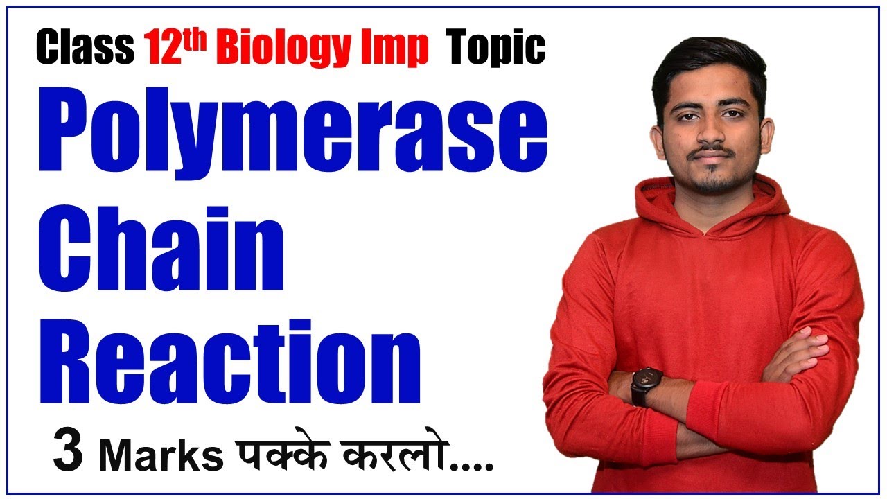 PCR Explained: Mechanism, Steps and Real-World Applications