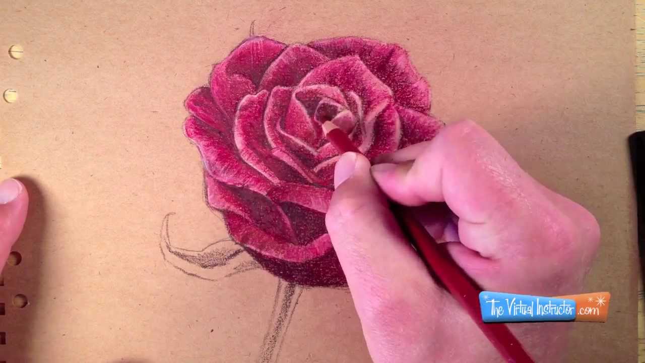 Draw Realistic Roses with Colored Pencils: Step-by-Step Guide