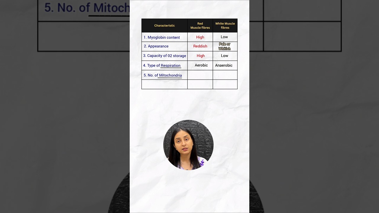 Red vs White Muscle Fibers: Key Differences Explained