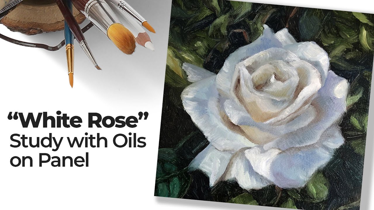 White Rose Oil Painting Study: Water Mixable Oils Technique