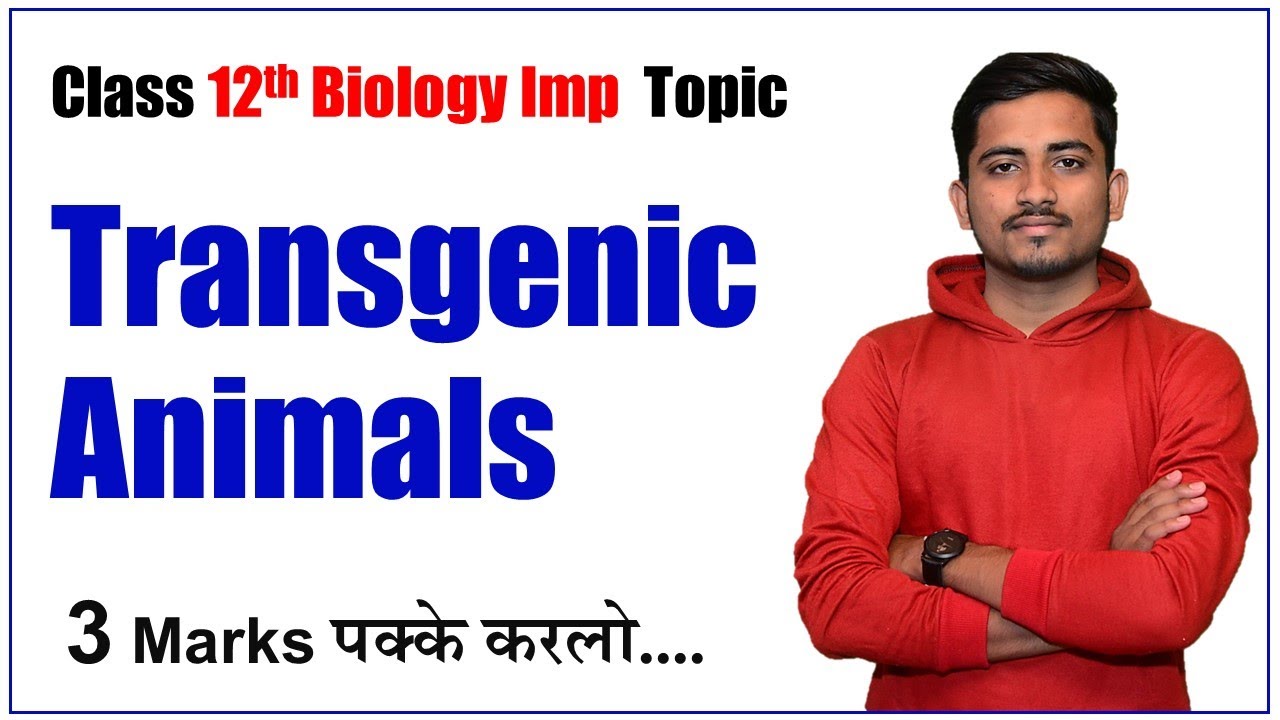 Transgenic Animals Guide: Exam Prep, Uses & Biotechnology Impact