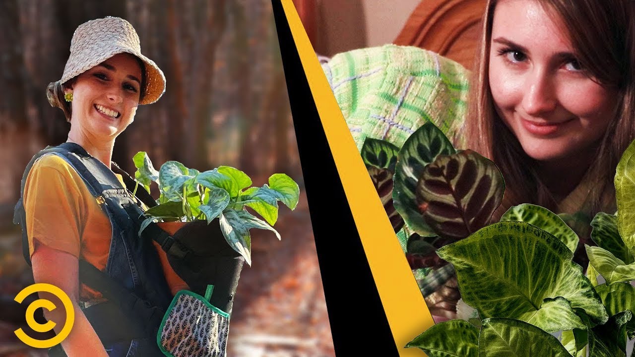 Plant Nanny Guide: Pro Care Tips for Healthy Greenery