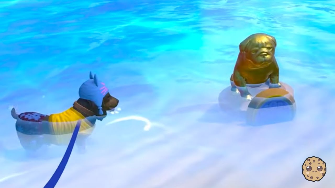 Build the Perfect Puppy Beach Play Area: Rescue & Training Tips