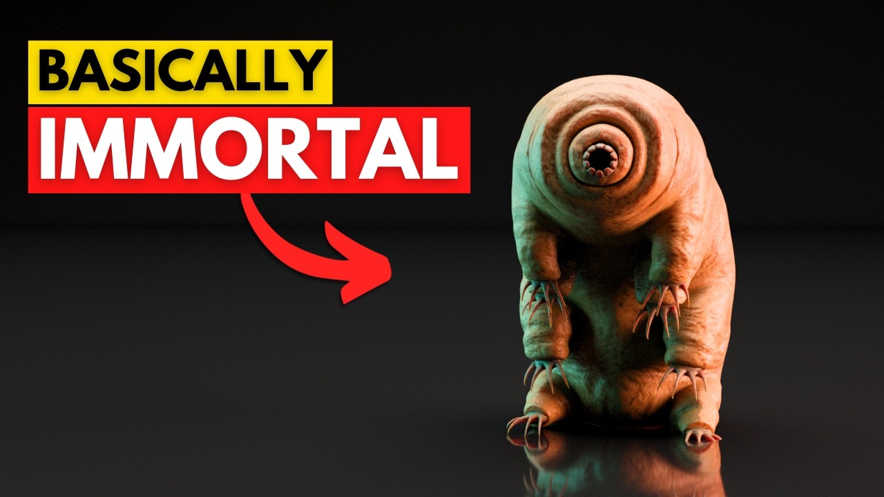 Tardigrades' Survival Secrets: Science & Future Tech