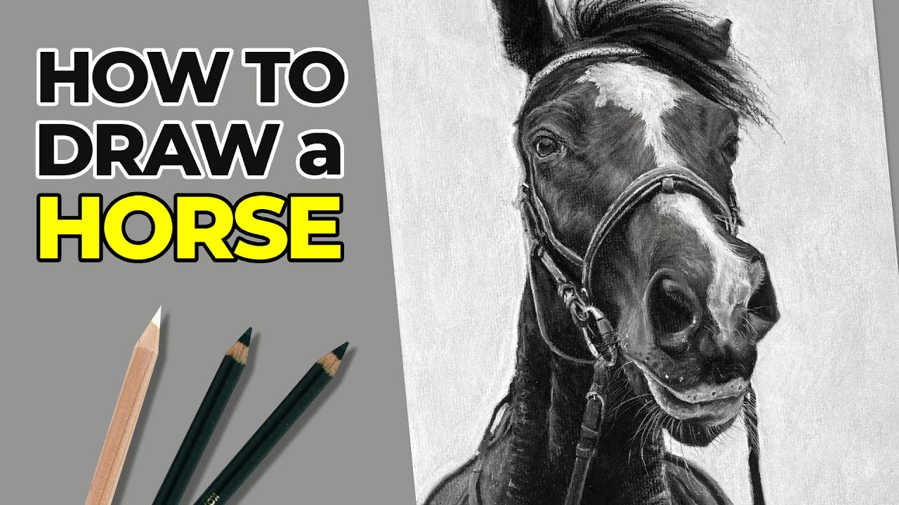 How to Draw a Horse with Charcoal: Step-by-Step Guide