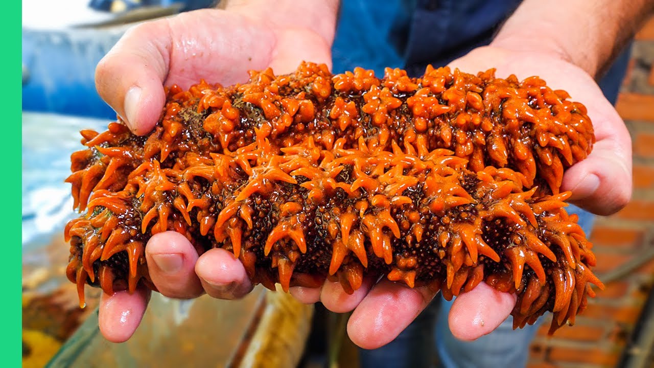 Unusual Seafood Taste Test: Health Myths vs. Delicious Reality