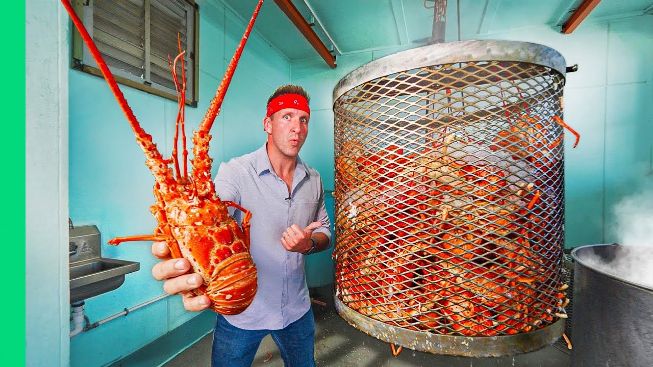 East Coast Seafood Journey: From Maine Lobster to Florida Stone Crabs