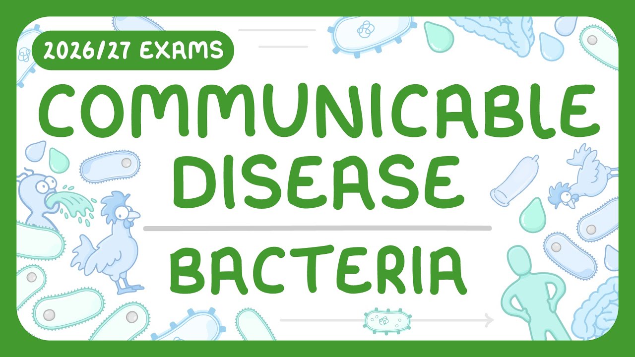 Bacterial Diseases Explained: Prevention, Treatment & Resistance