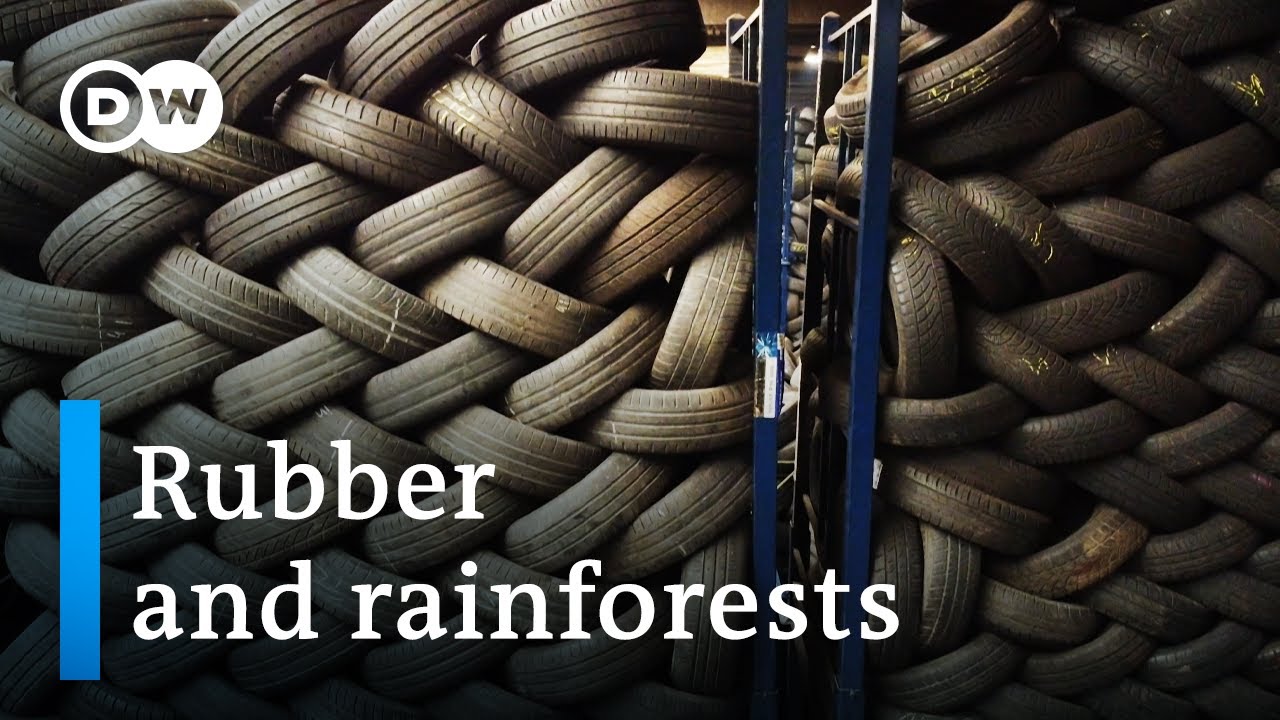 Sustainable Rubber Solutions: Protecting Rainforests from Tire Demand