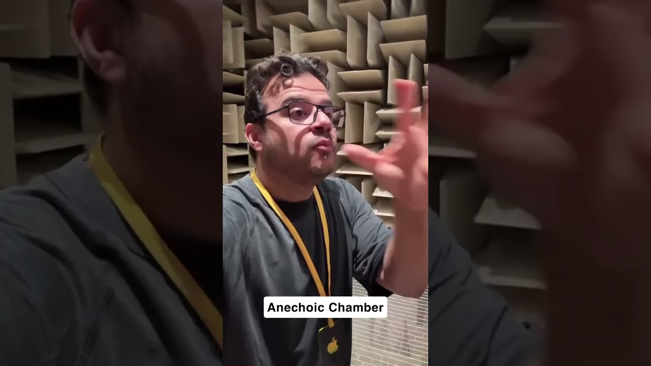 Inside the World's Quietest Room: Science & Experience