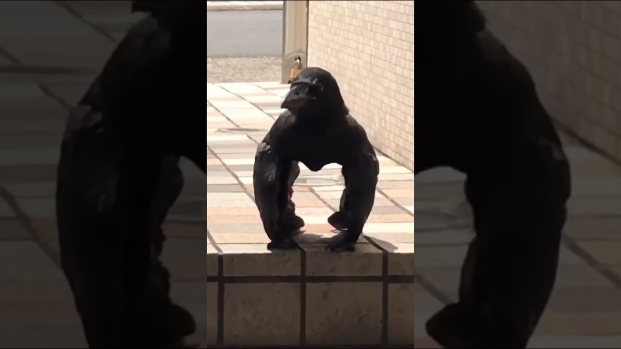 Top 10 Viral Fitness Moments That Broke the Internet (2023)