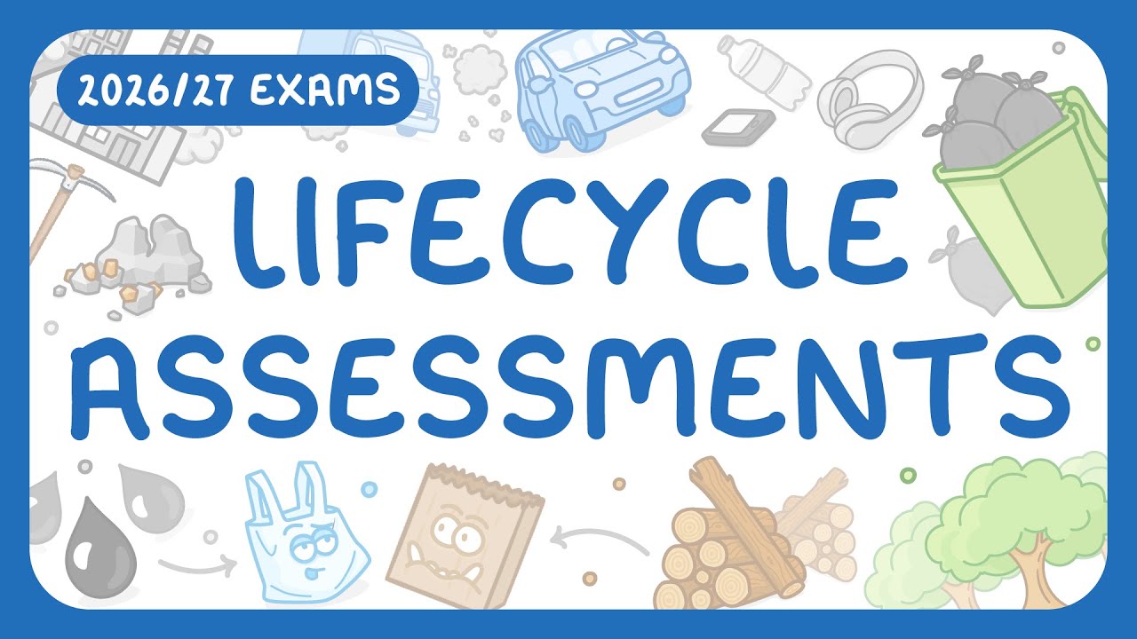 Life Cycle Assessments Explained: Plastic vs Paper Bag Analysis