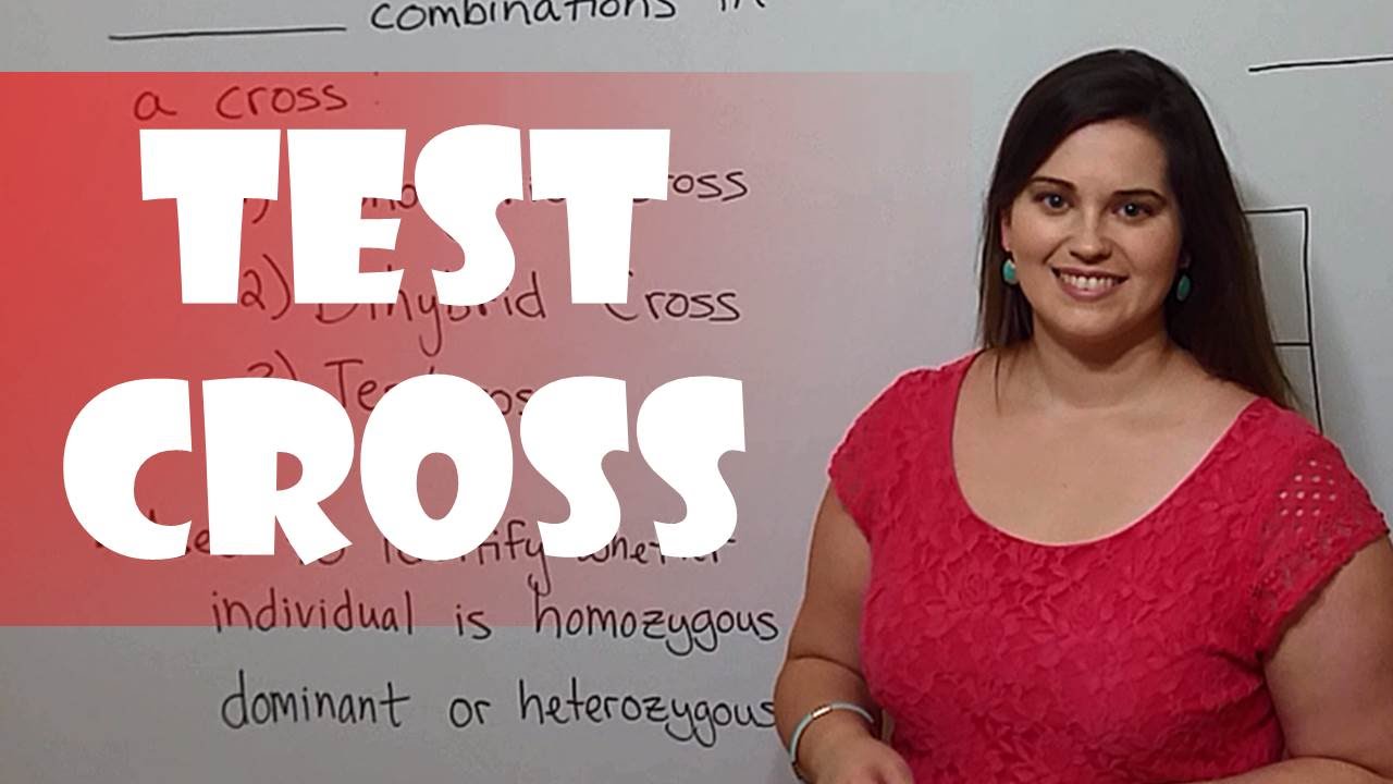 How to Use Test Crosses for Genotype Determination