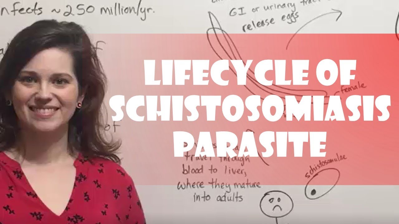 Schistosomiasis Parasite Life Cycle Explained: Transmission & Prevention