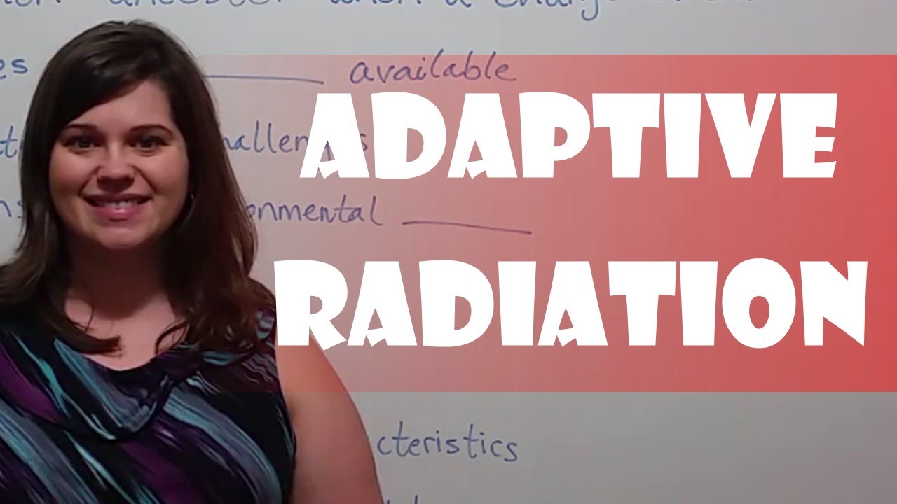 Adaptive Radiation Explained: Rapid Evolution's Diversity Engine