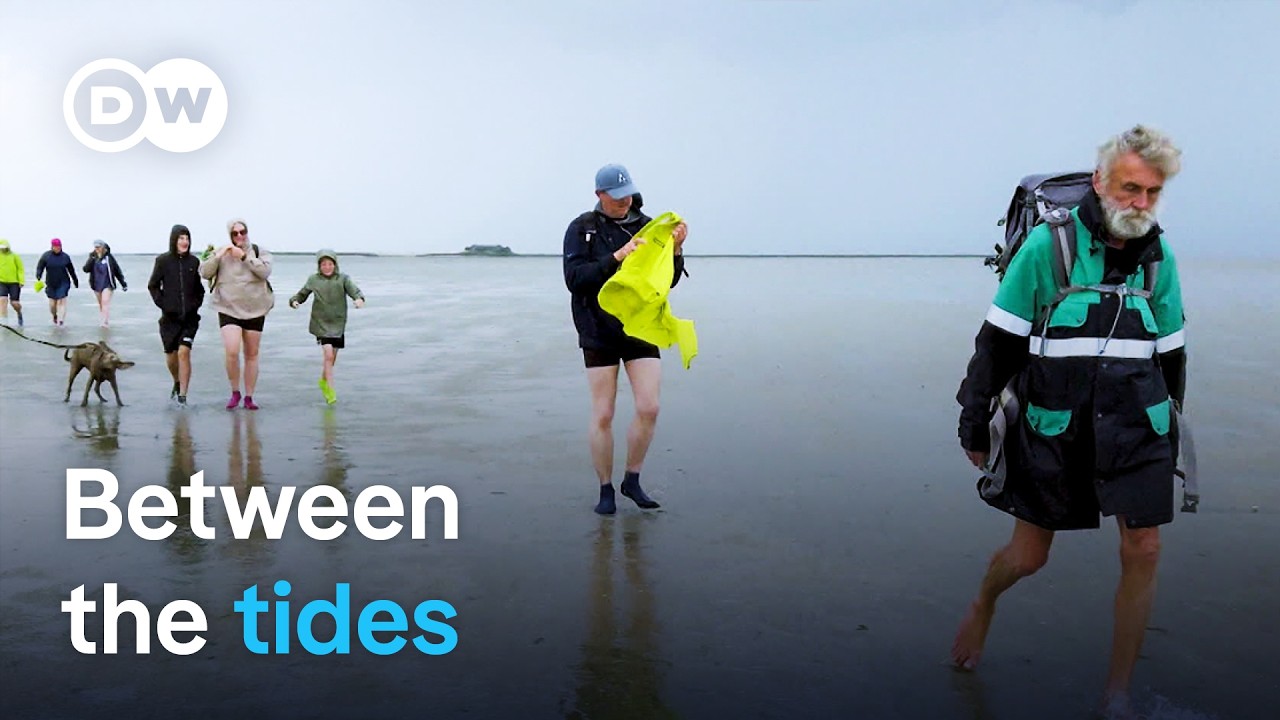 Knud Knudsen: Germany's Mudflat Mailman Defying Tides