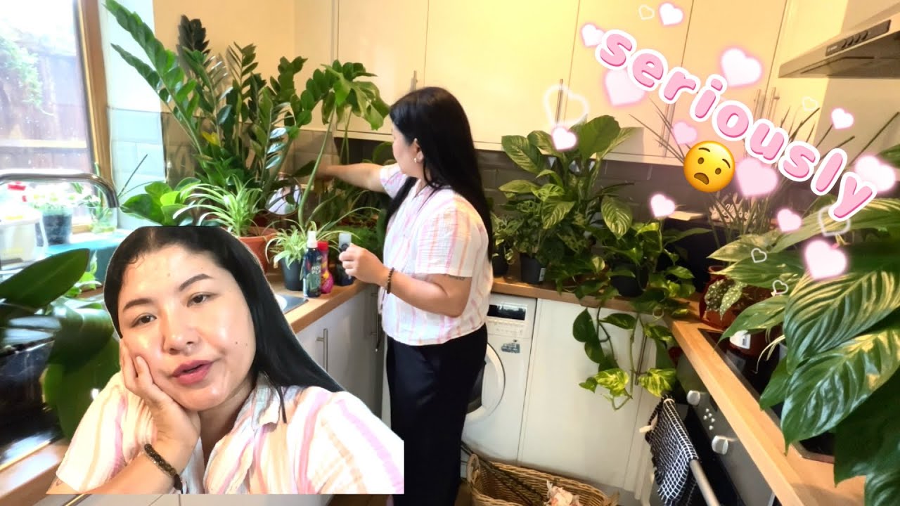 Seaweed Snack Benefits and Creative Uses for Healthy Eating