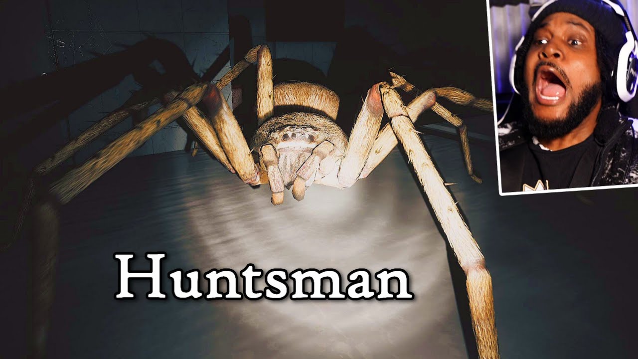 Huntsman Spider Strategy Guide: Key Tips and Walkthrough