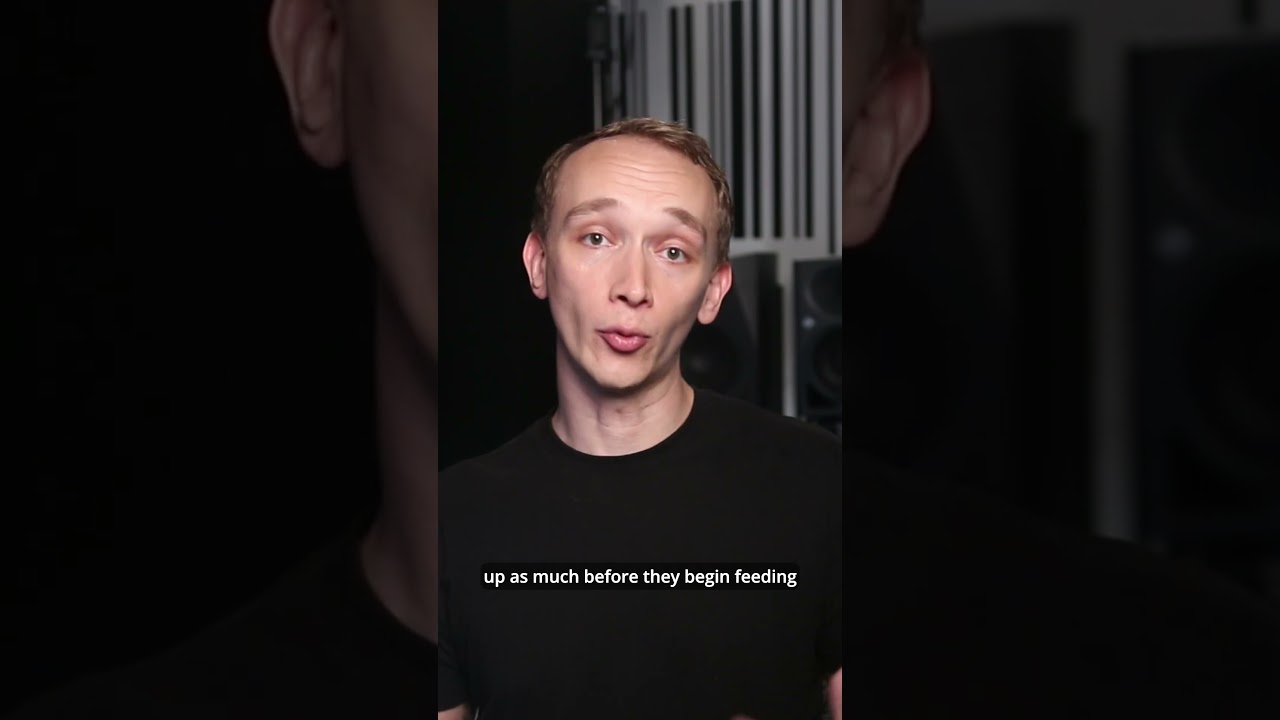 Speaker Placement Guide: Avoid Feedback & Maximize Coverage