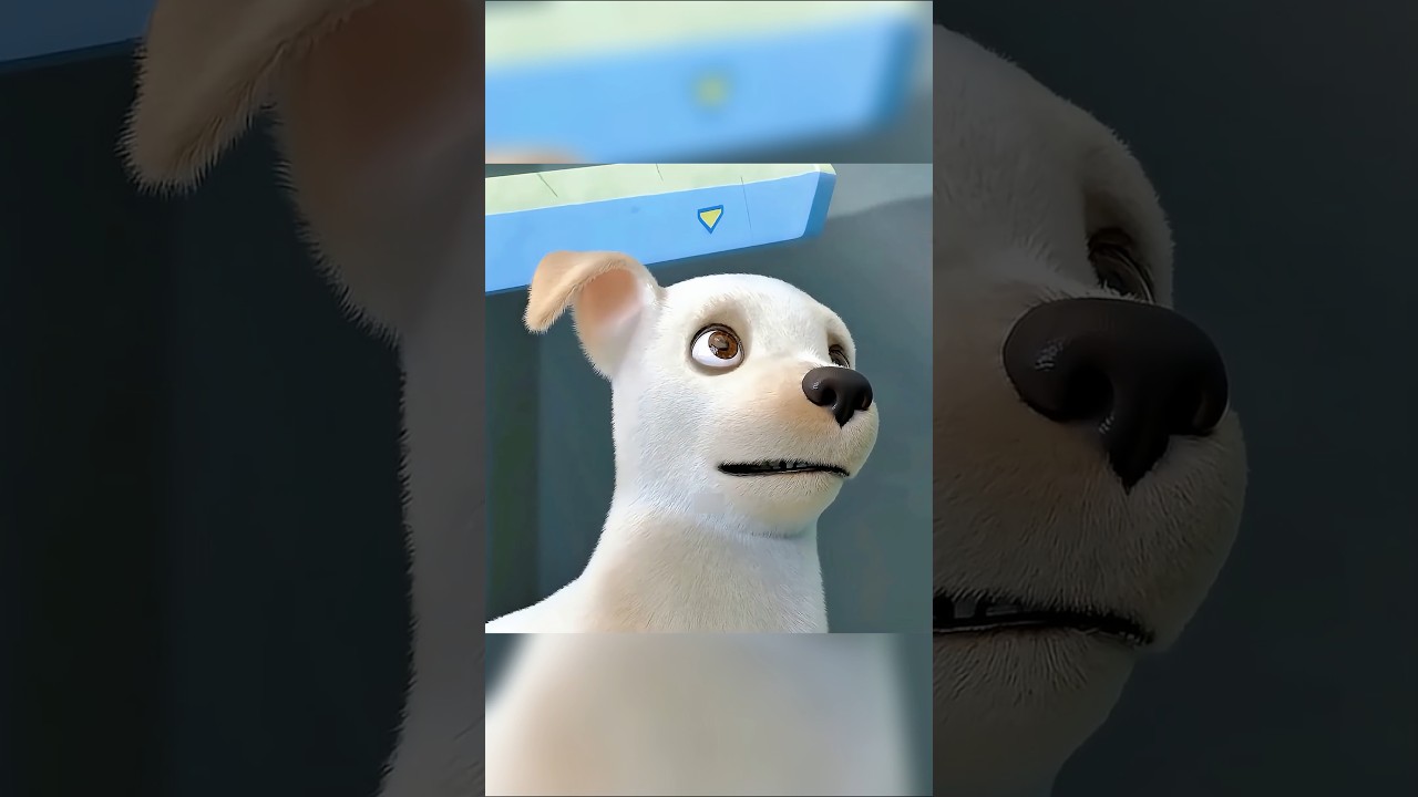 Badi's Triumph: How a Short Guide Dog Proved Size Doesn't Matter