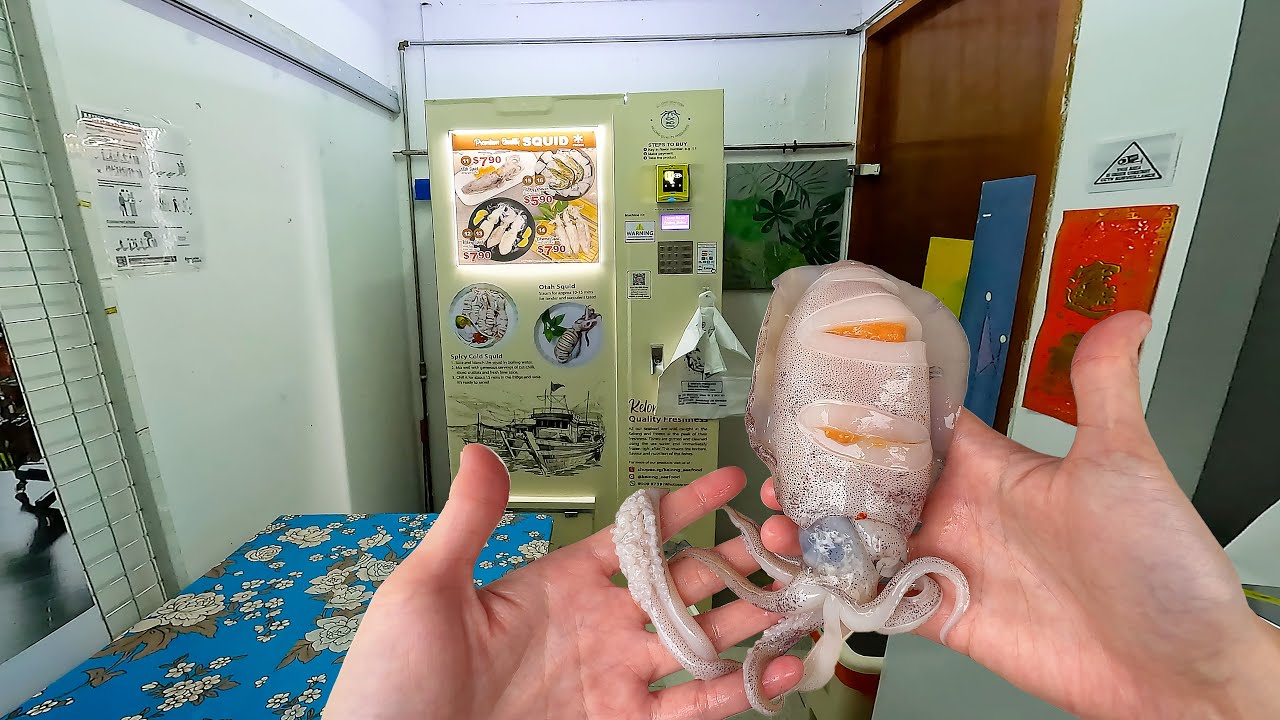 Raw Squid Vending Machine Guide: Grilling & Otah Stuffed Review