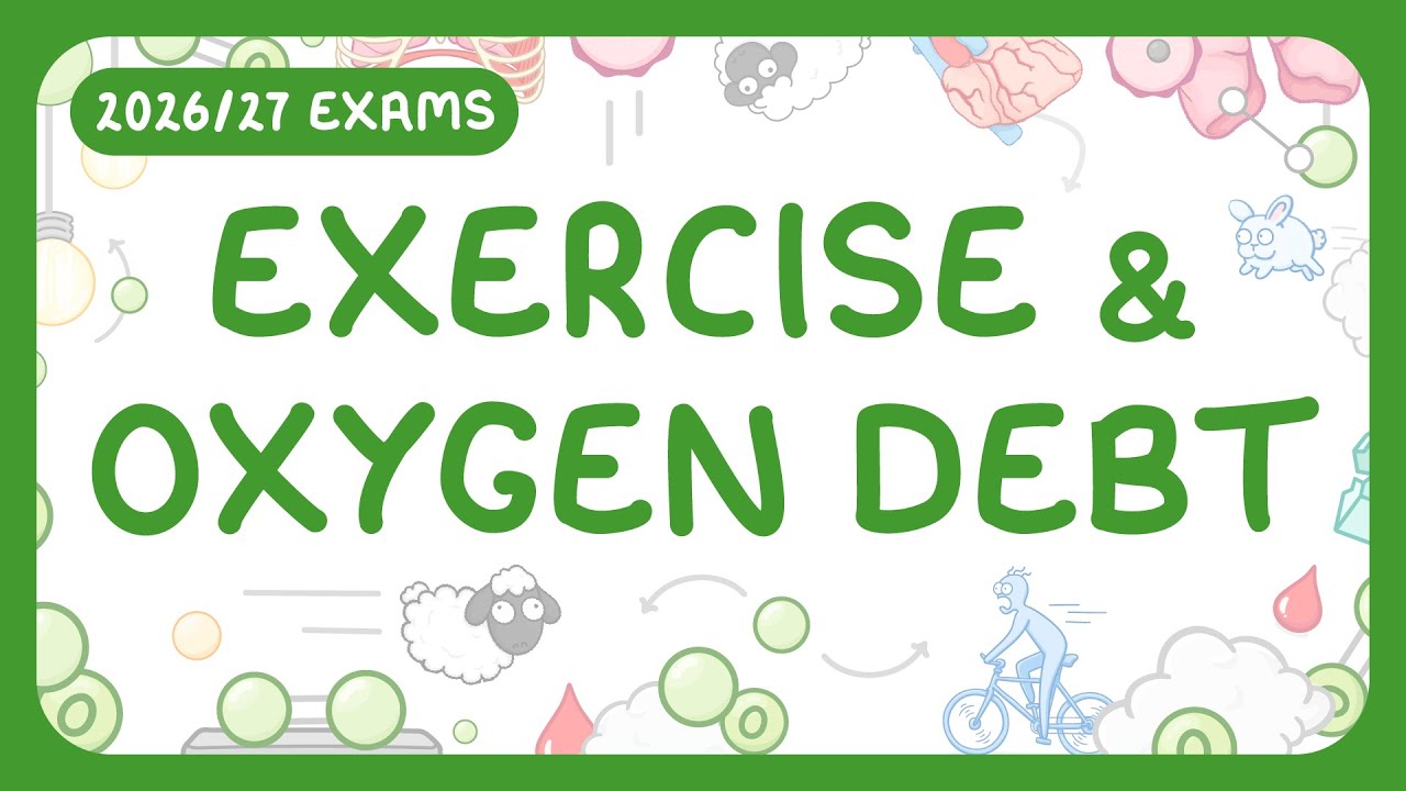 How Exercise Affects Your Body: Cellular Energy Science Explained