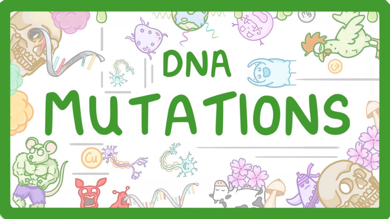 DNA Mutations Explained: Causes, Effects, and Key Types