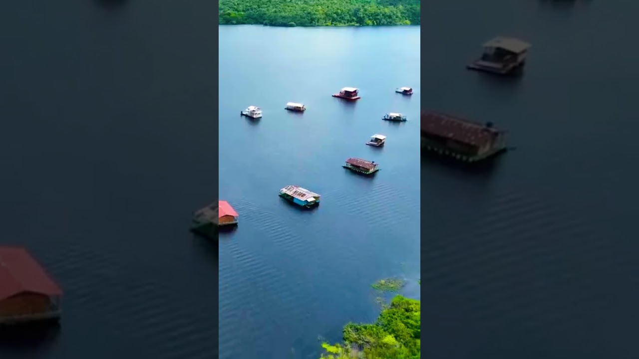 Amazon Rainforest: Essential Facts About Earth's Largest Ecosystem