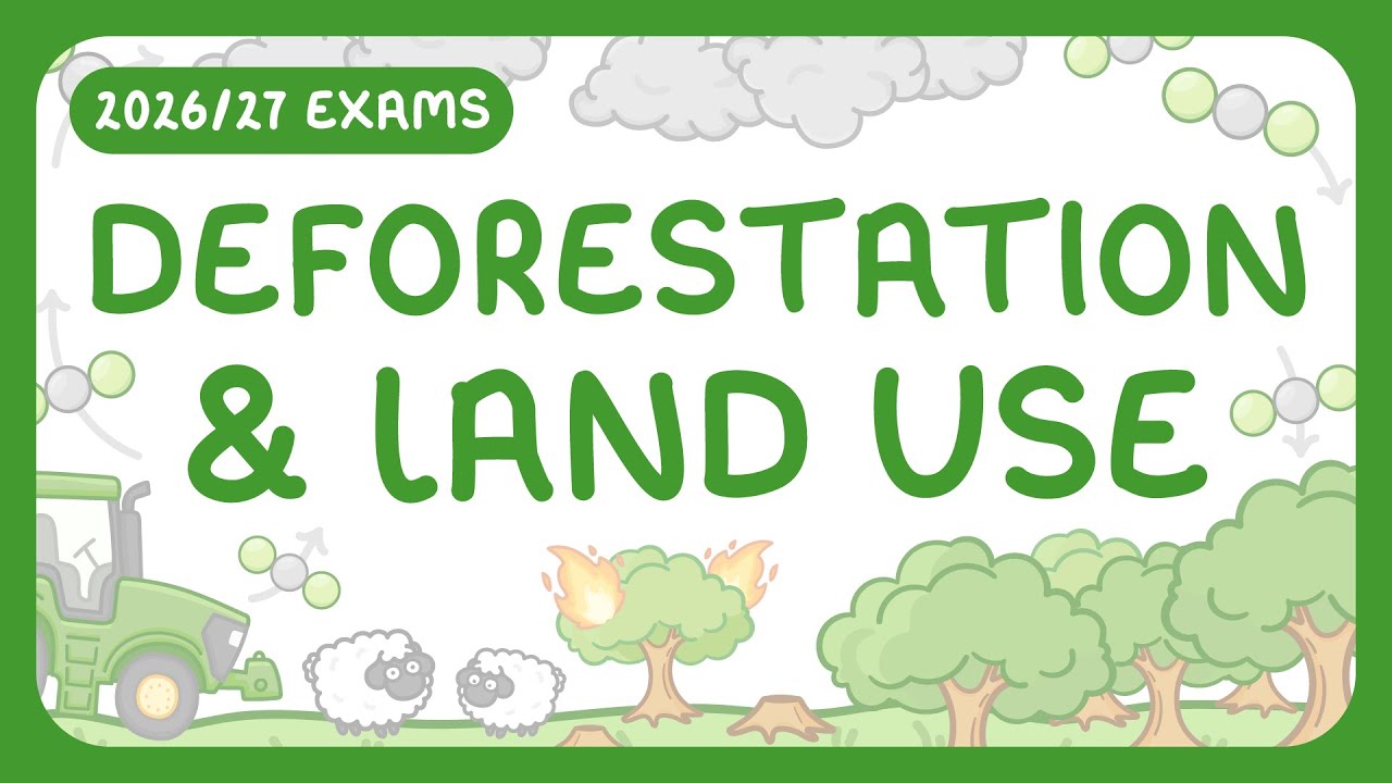 Deforestation & Peatland Loss: Environmental Impacts Explained