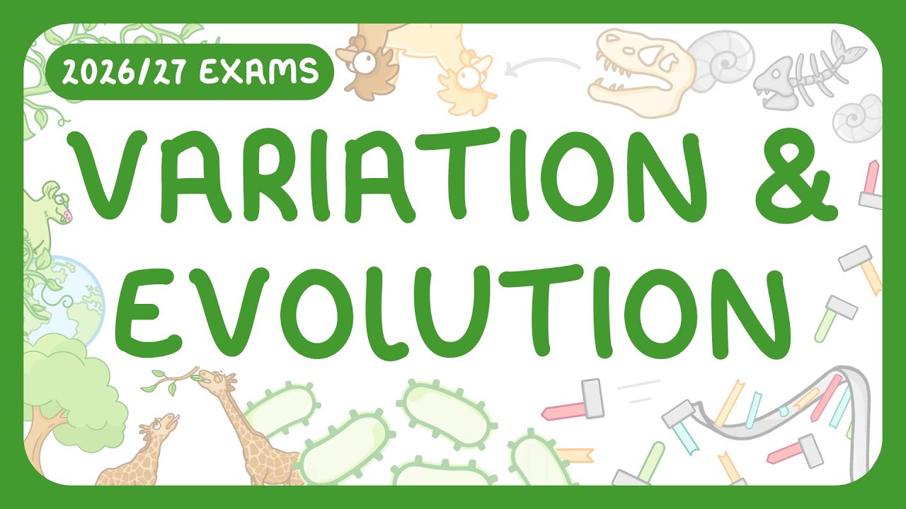 How Genetic Variation Drives Natural Selection and Evolution