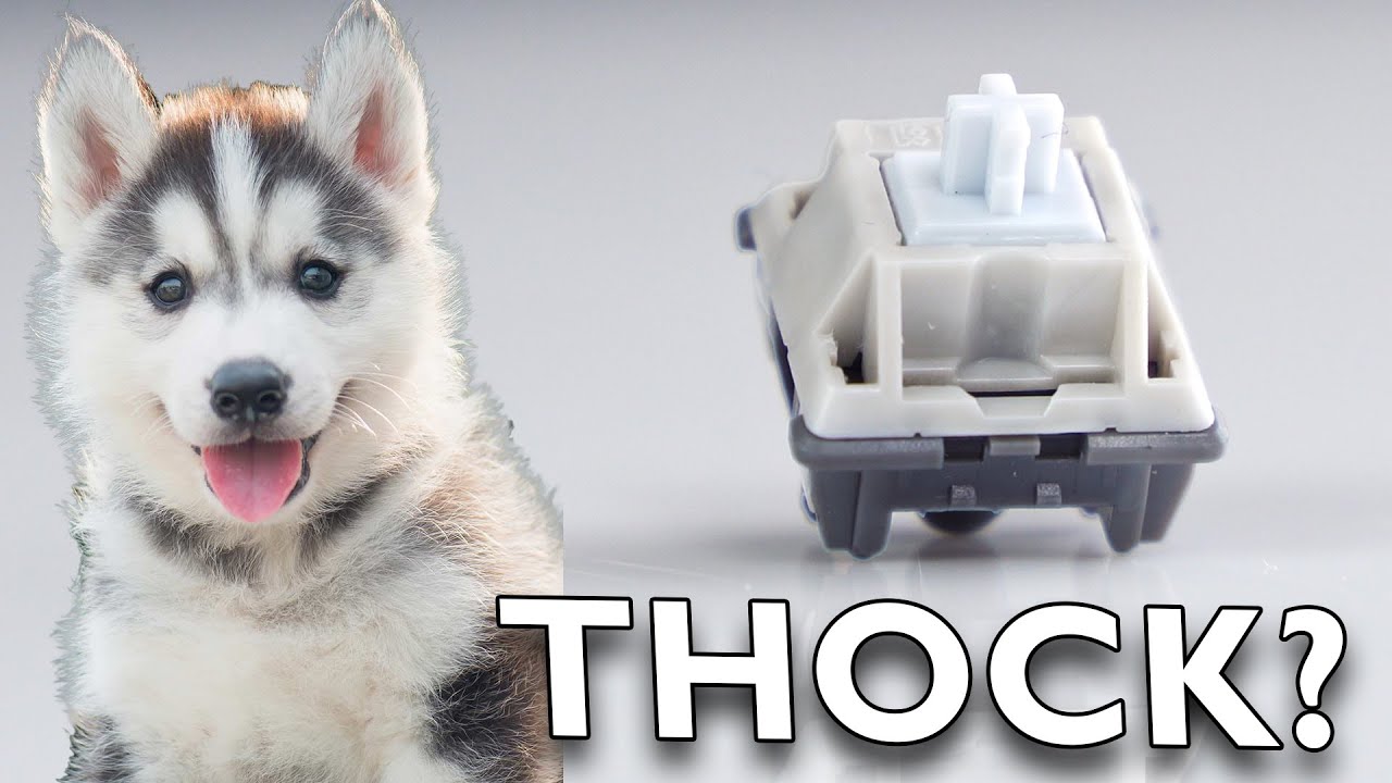 Kinetic Labs Husky Switches Review: Linear Contender?