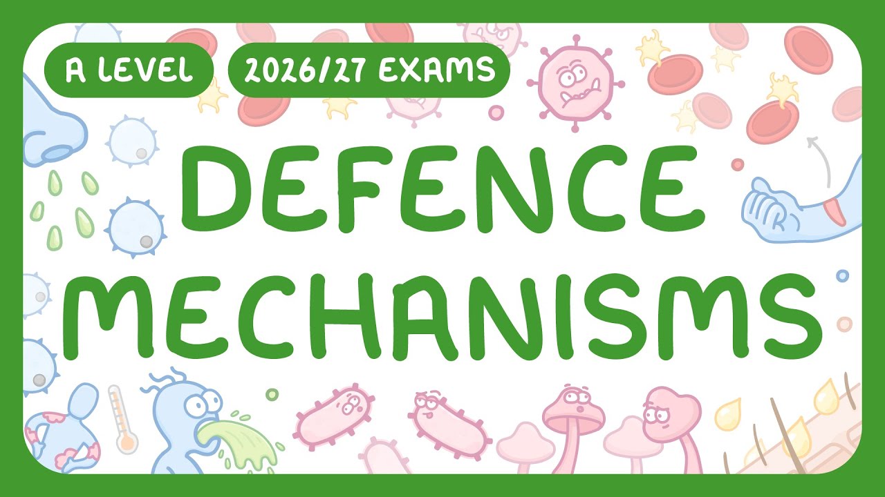 Immune Defense Mechanisms Explained Simply