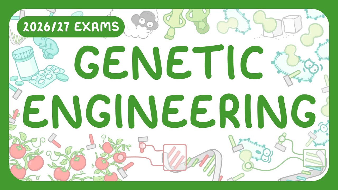 Genetic Engineering Basics: Applications, Benefits & Future